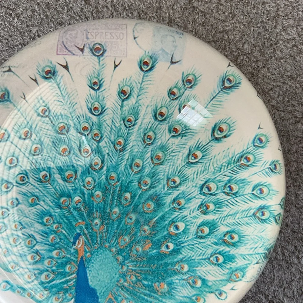 Glass Dome Paperweight Colorful Peacock Sea Blue